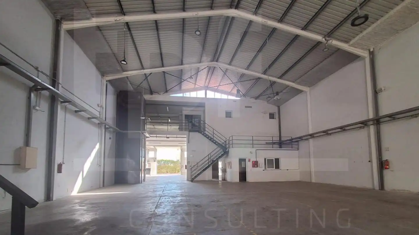 Nave industrielle à vendre à Palmiters