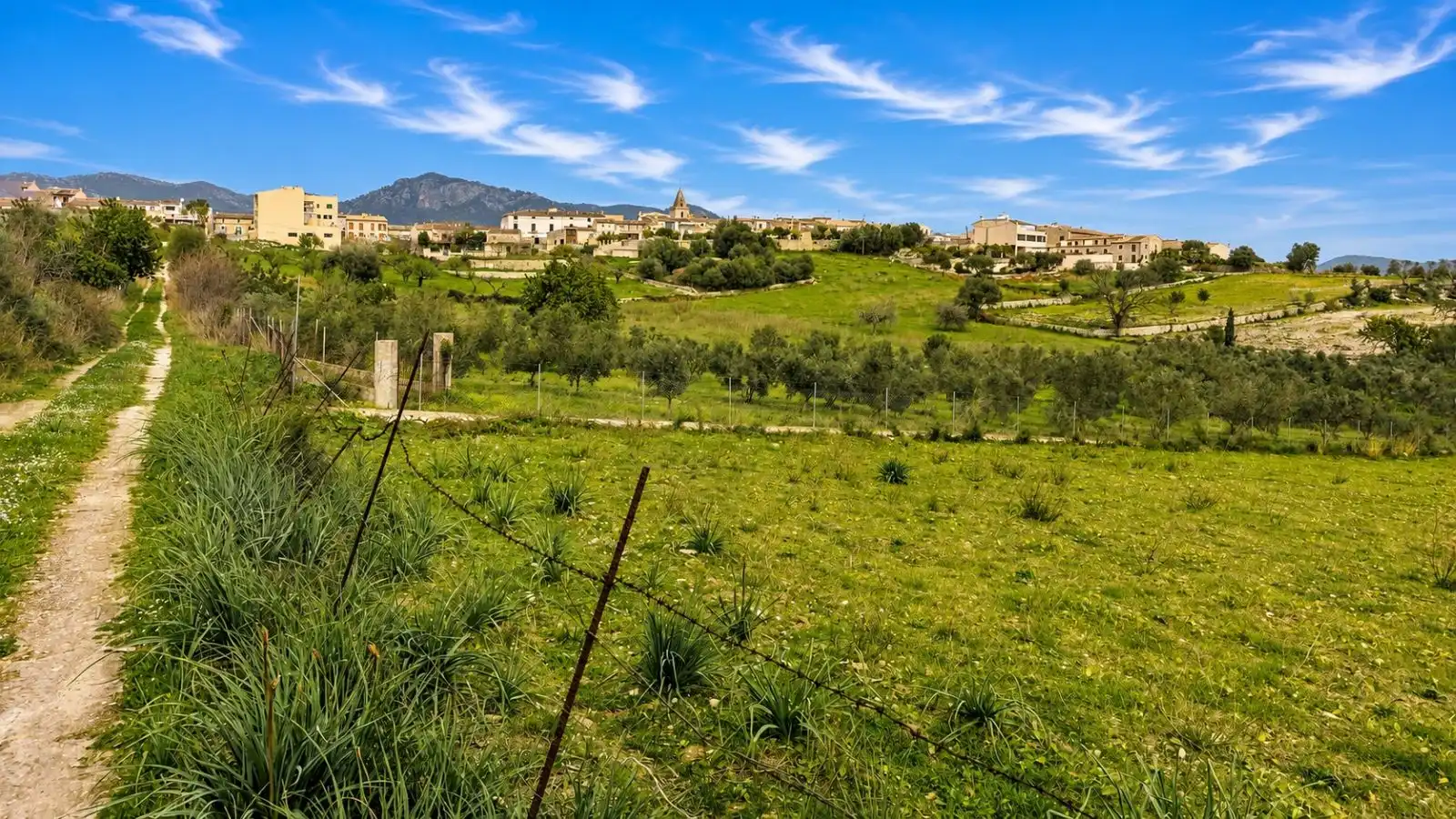 Residential for sale in Selva