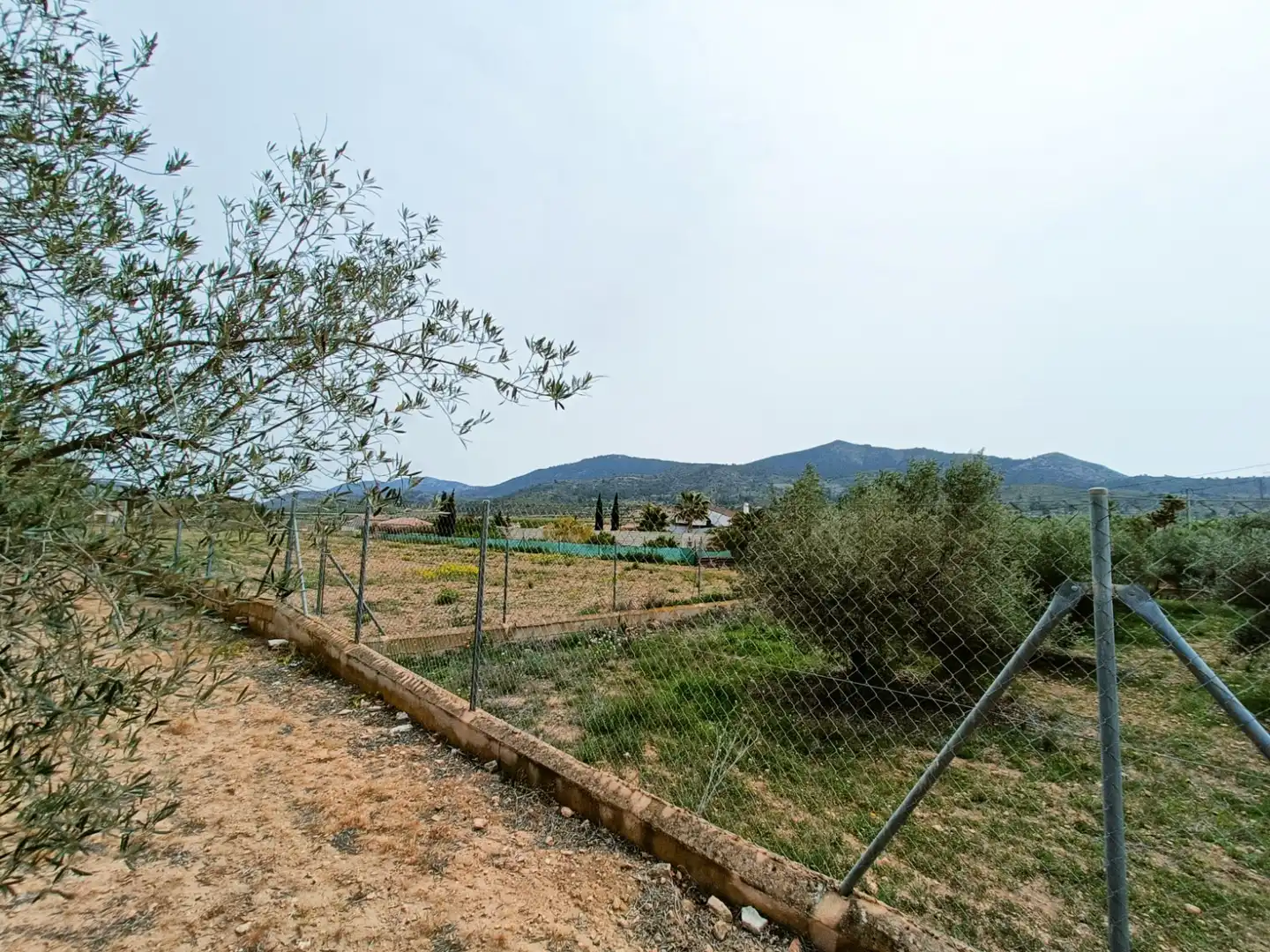 Villa in vendita a Hondón de los Frailes, imagen 40