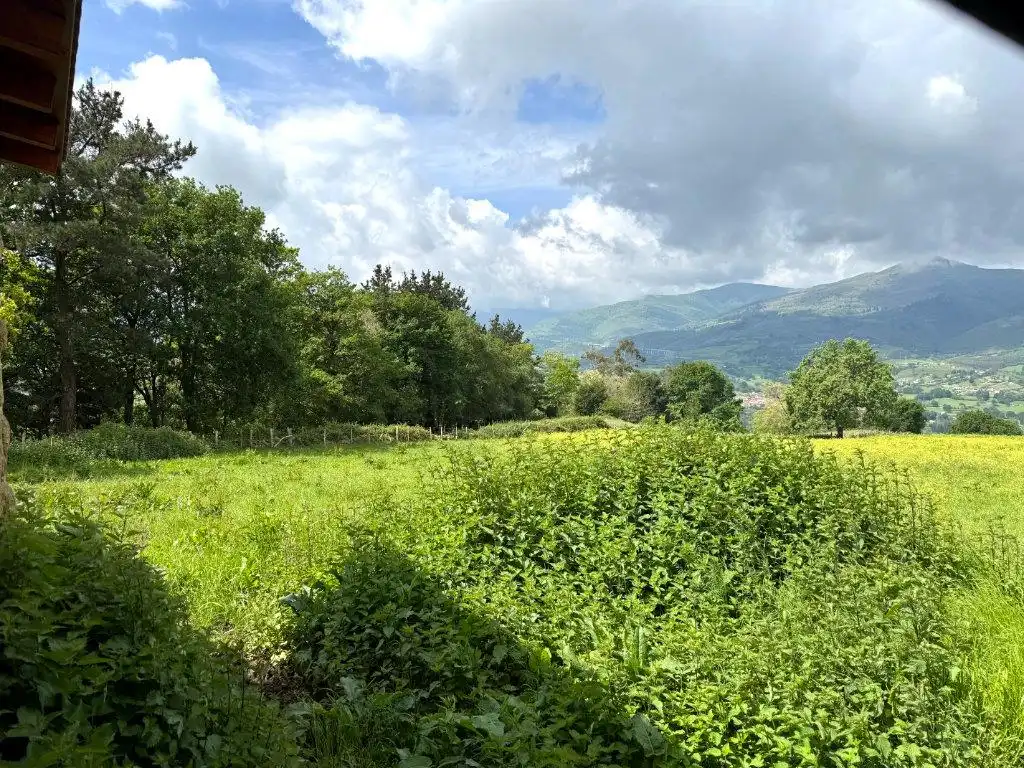 Residential for sale in SILIO-DISEMINADO, 885, Molledo