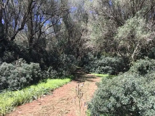 Residential land for sale in Polígono CAS FUSTER, POLGONO 49 - LA PLATA DE SON MAYO, imagen 2