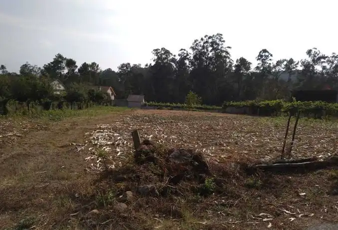 Terrenys i solars en venda a Salvaterra de Miño, imagen 4