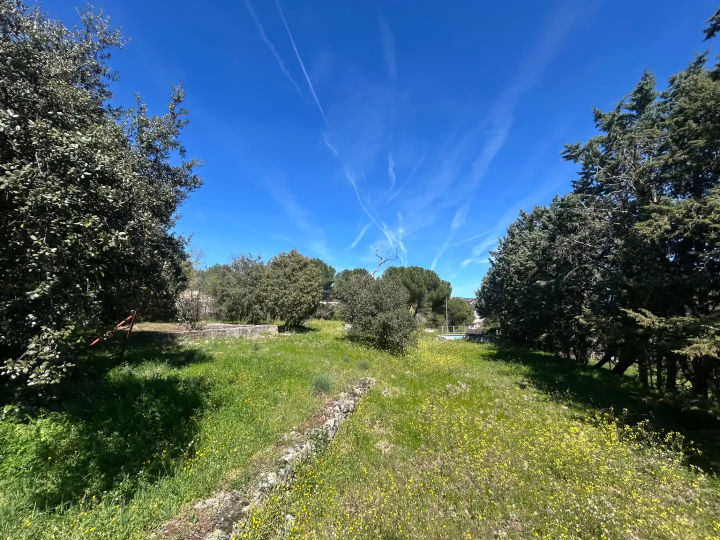 Terreno residencial en venta en Avenida de Pinares, imagen 4
