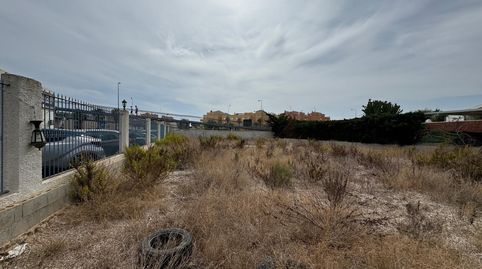 Foto 4 de Terreno industrial en venta en La Regia, Orihuela