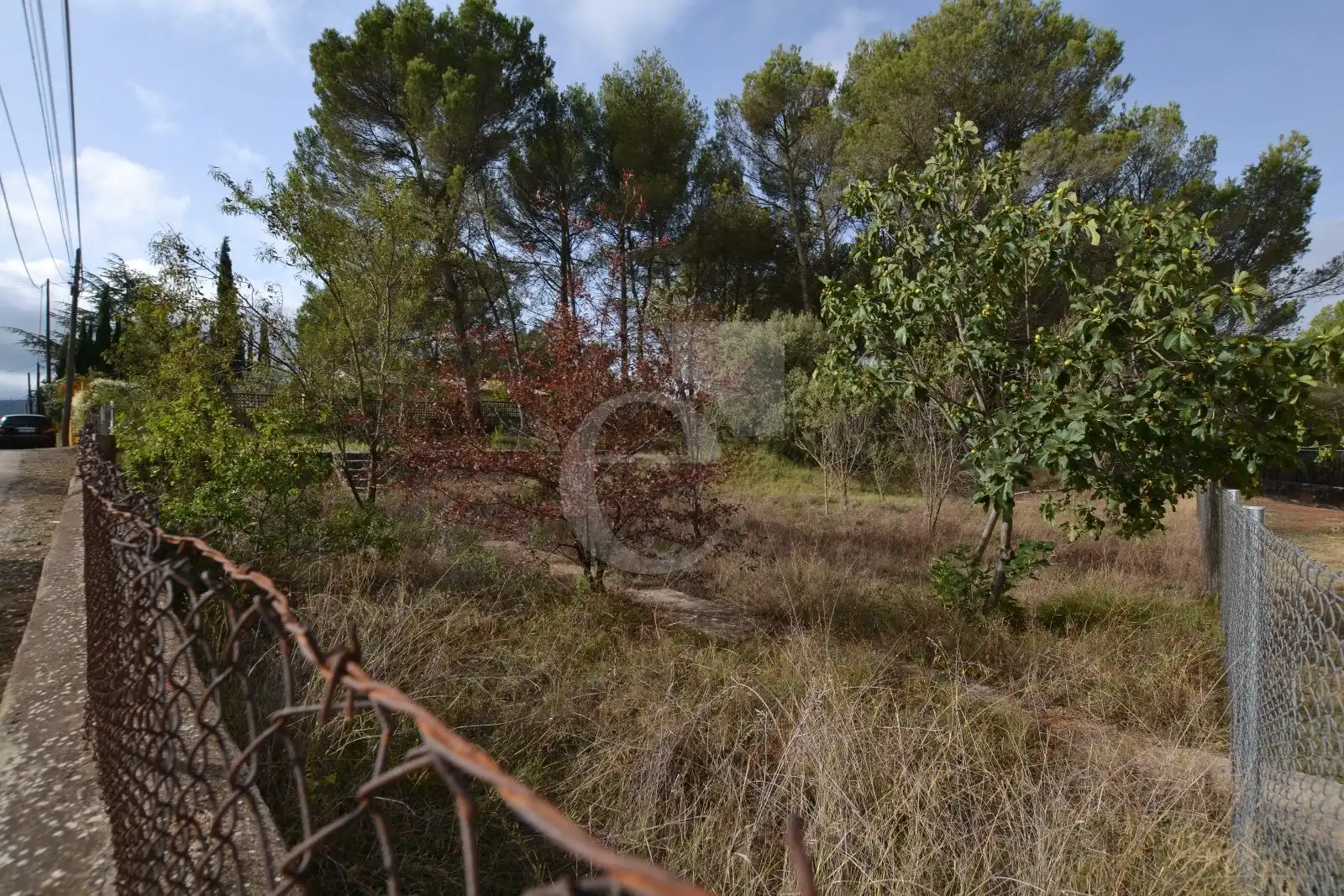 Rural land for sale in Venta Quemada, imagen 4