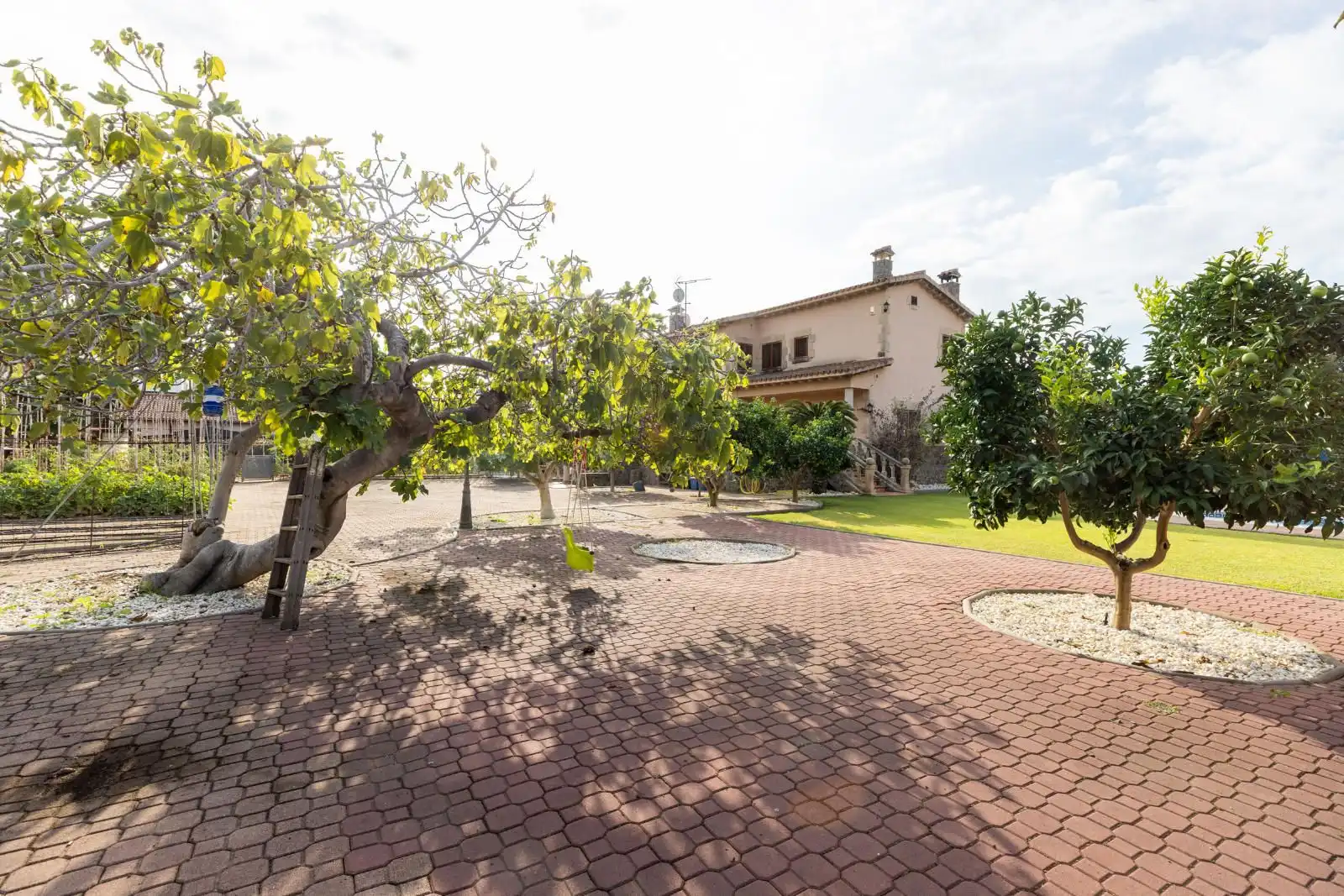 Jardí de Casa o xalet en venda en Mataró amb Terrassa i Piscina