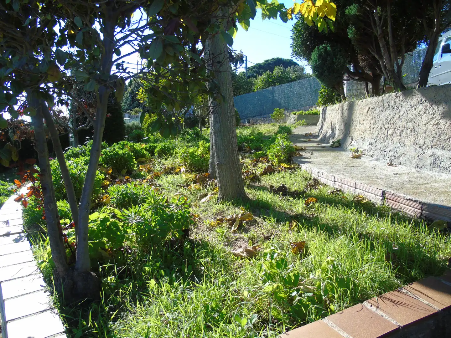 Casa in vendita a Mas Mora - Sant Daniel, imagen 13