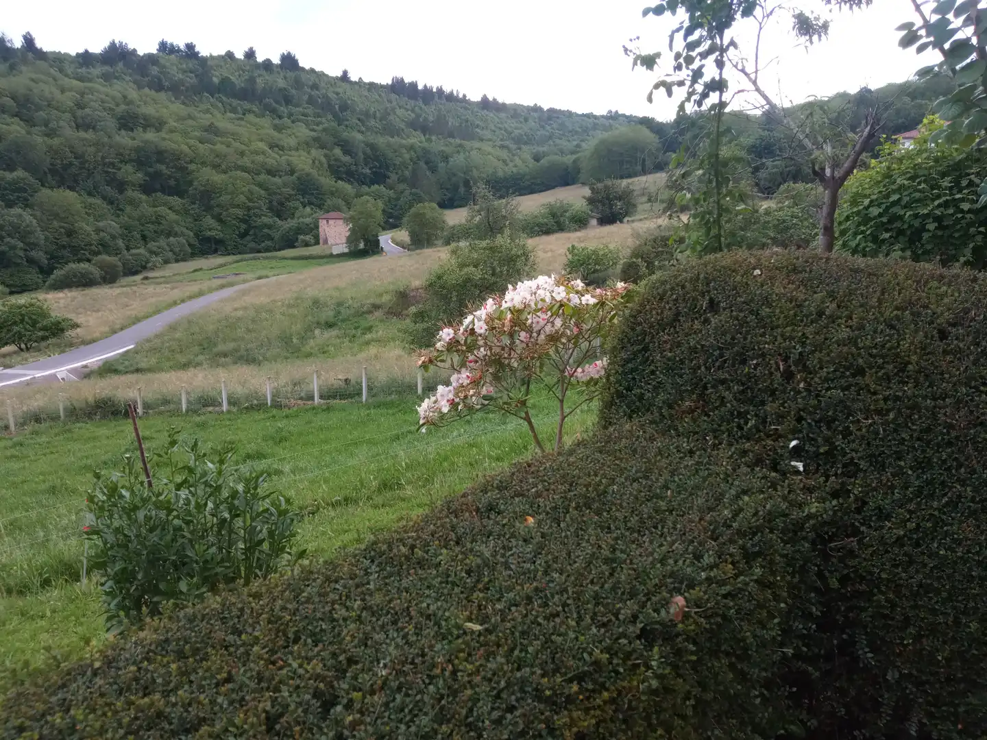 Jardín de Finca rústica en venta en Tineo con Jardín privado, Parquet y Terraza