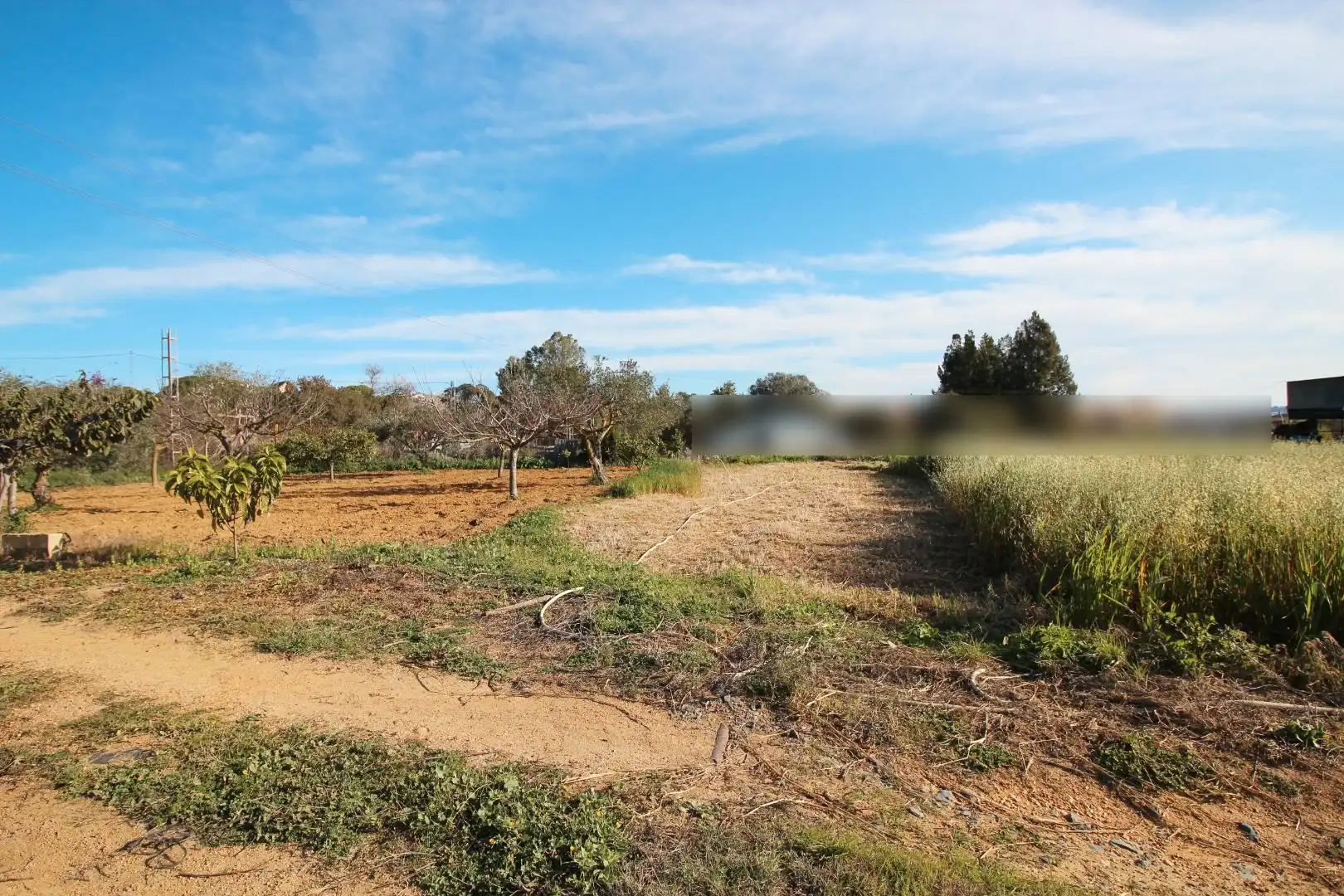 Terrenos y solares en venta en Núcleo urbano, imagen 2
