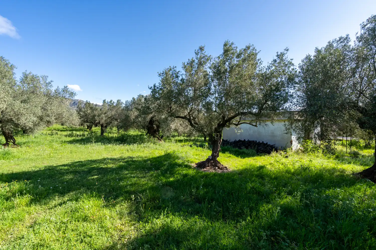 Terreno en venta en Rossell, Castellón