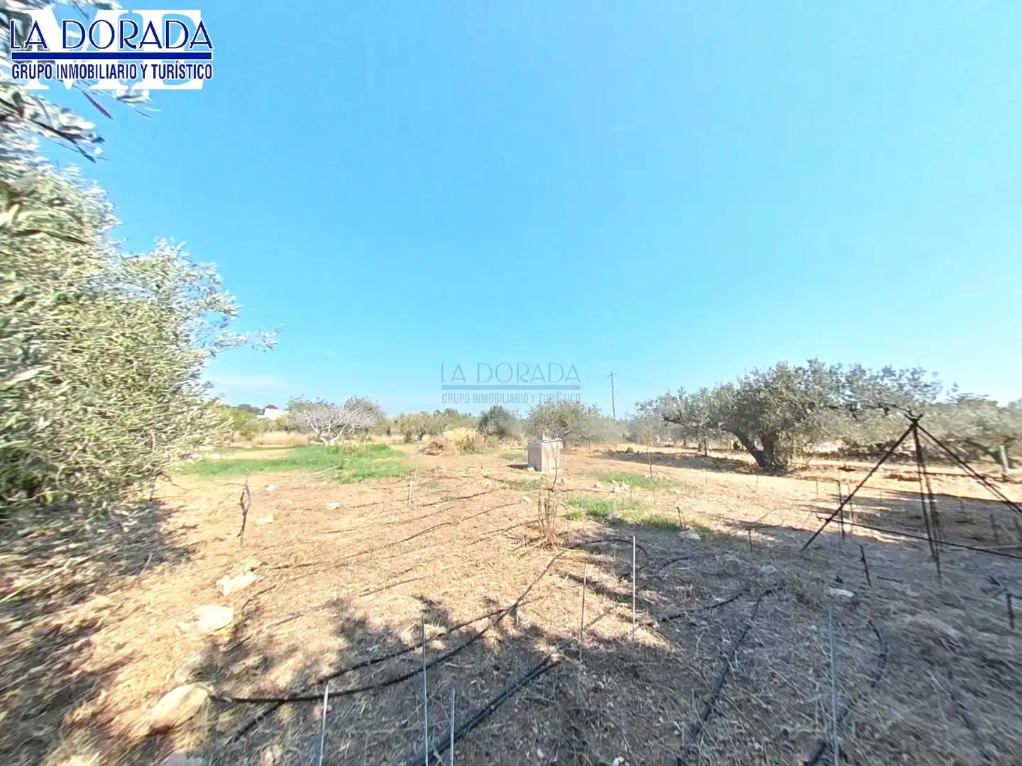 Country homes for sale in Vandellòs i l'Hospitalet de l'Infant