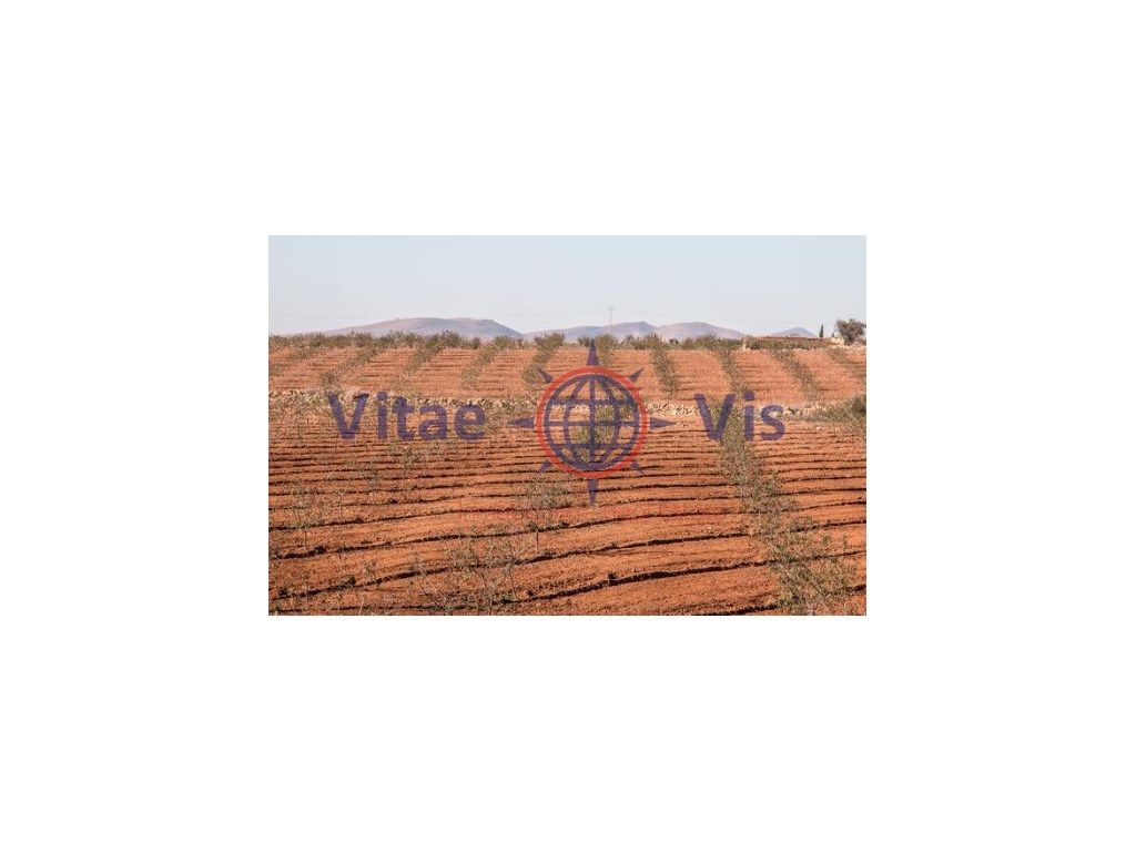 Finca rústica en venda a Travesia Fuensanta 01, -1, La Tova
