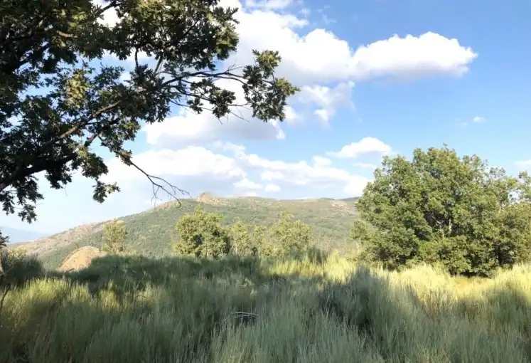 Terreni e lotti in vendita a Jerte, imagen 7