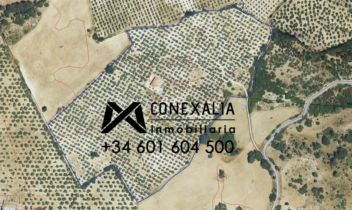 Finca rústica en venta en Algodonales con Piscina