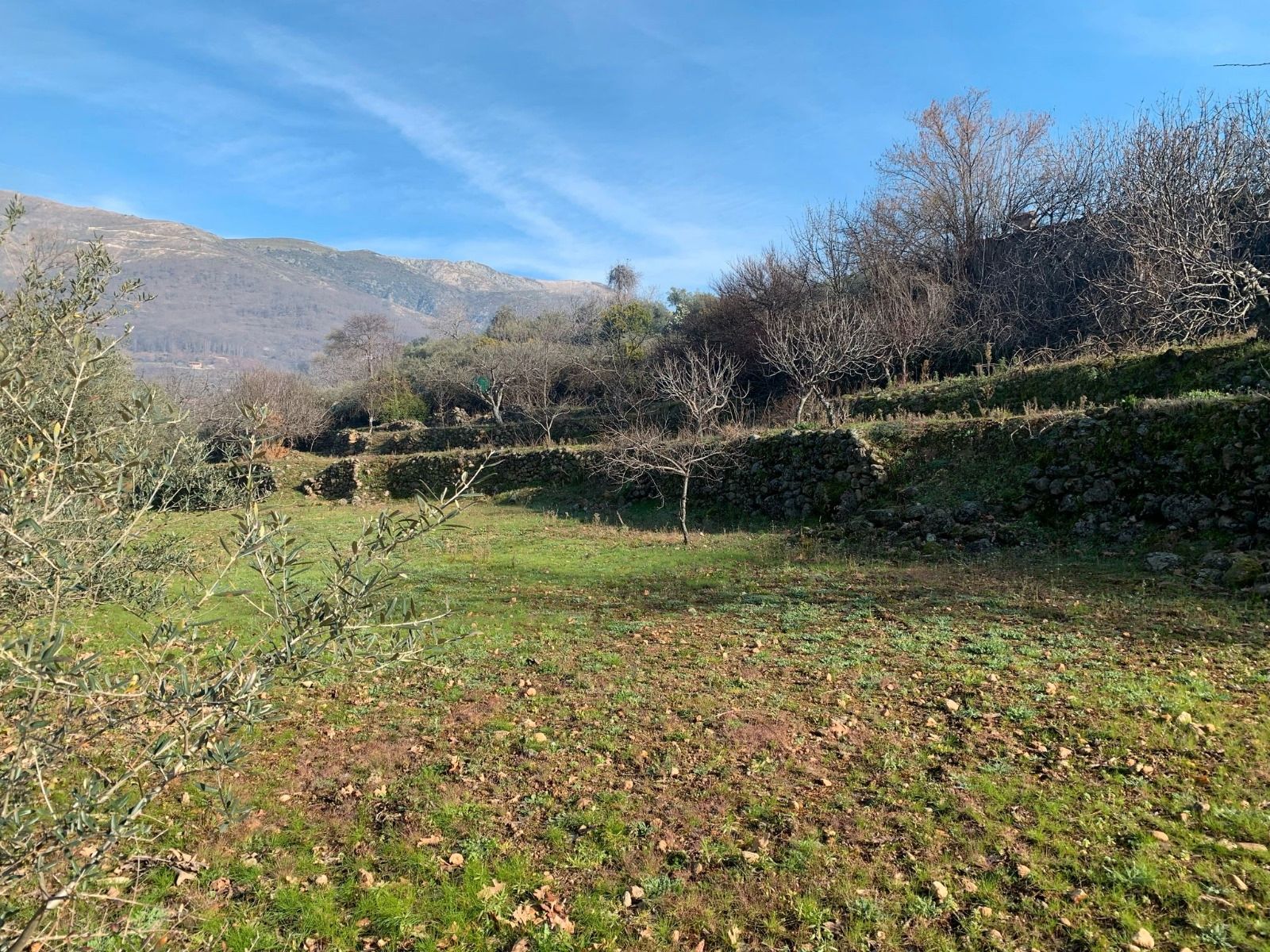 Land for sale in Jarandilla de la Vera