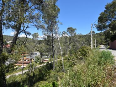 Terreno residenziale in vendita a Olivella