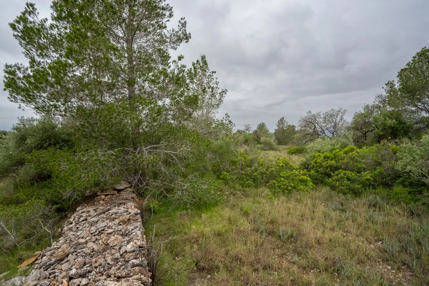 Terrain rustique à vendre à Camí Vell del Cementiri 4, imagen 11