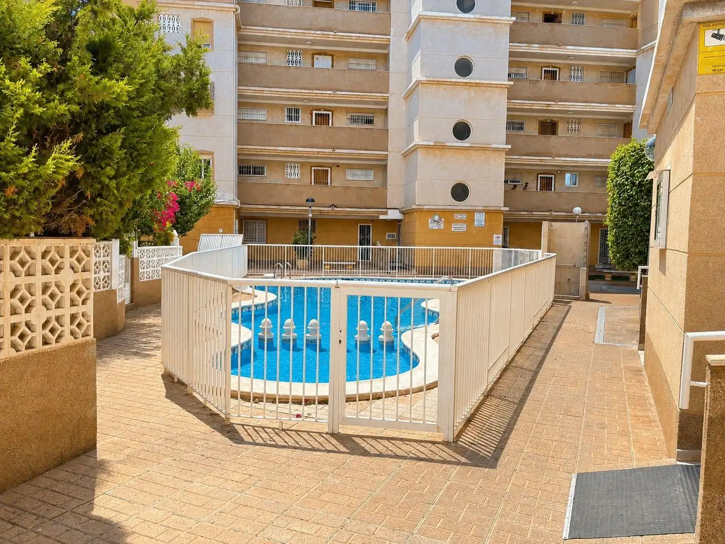 Baixos amb piscina en venda a Calle MANUEL GALIAN (MANOLIN), imagen 10