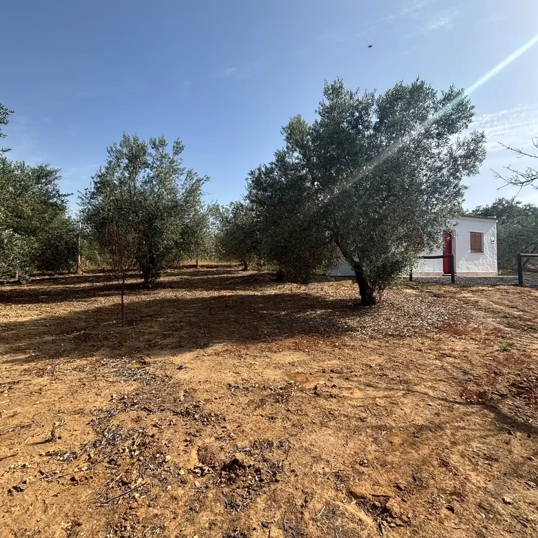 Finca rústica en venda en Almonte