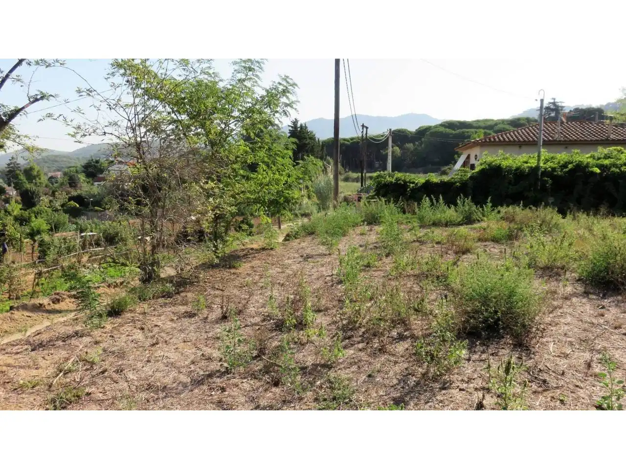 Terreny residencial en venda a Calle Del Pallars 2, imagen 21