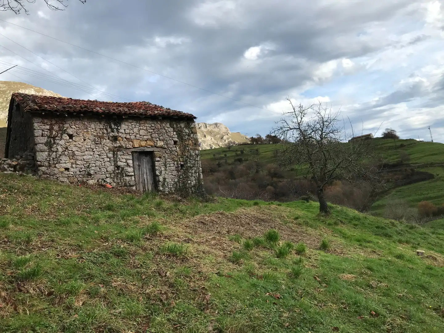 Lands and plots for sale in El Pontón, Rozagas, imagen 7