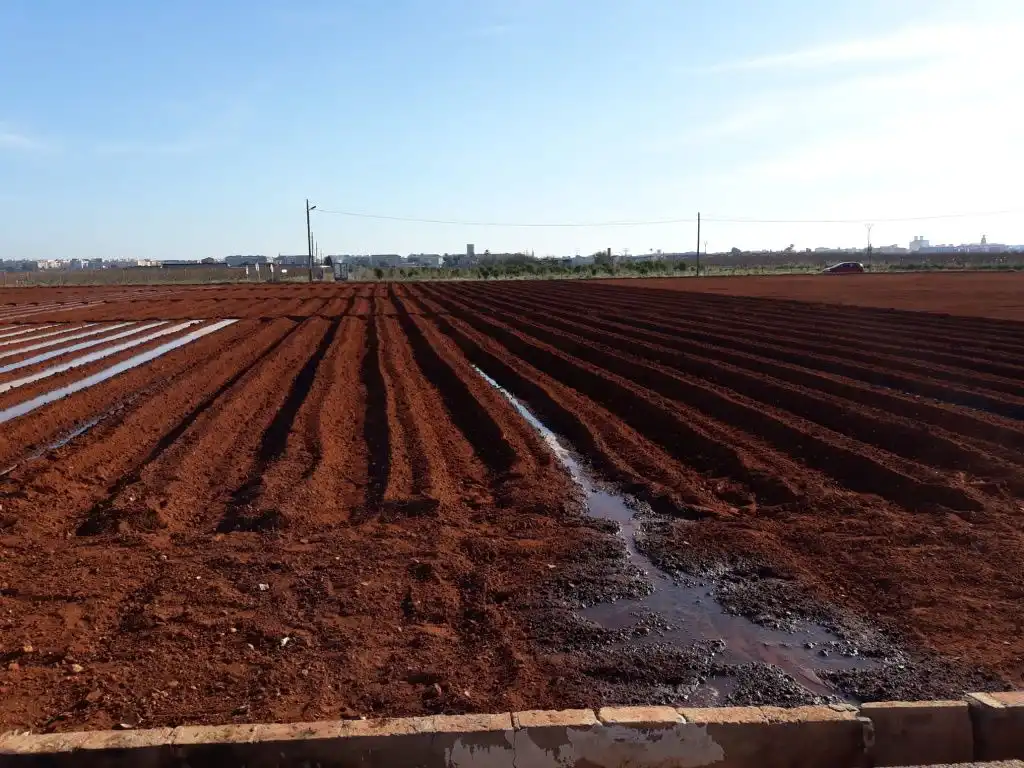 Land for sale in Catarroja