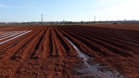 VENTA CAMPO REGADIO CATARROJA.MC34, imagen 4