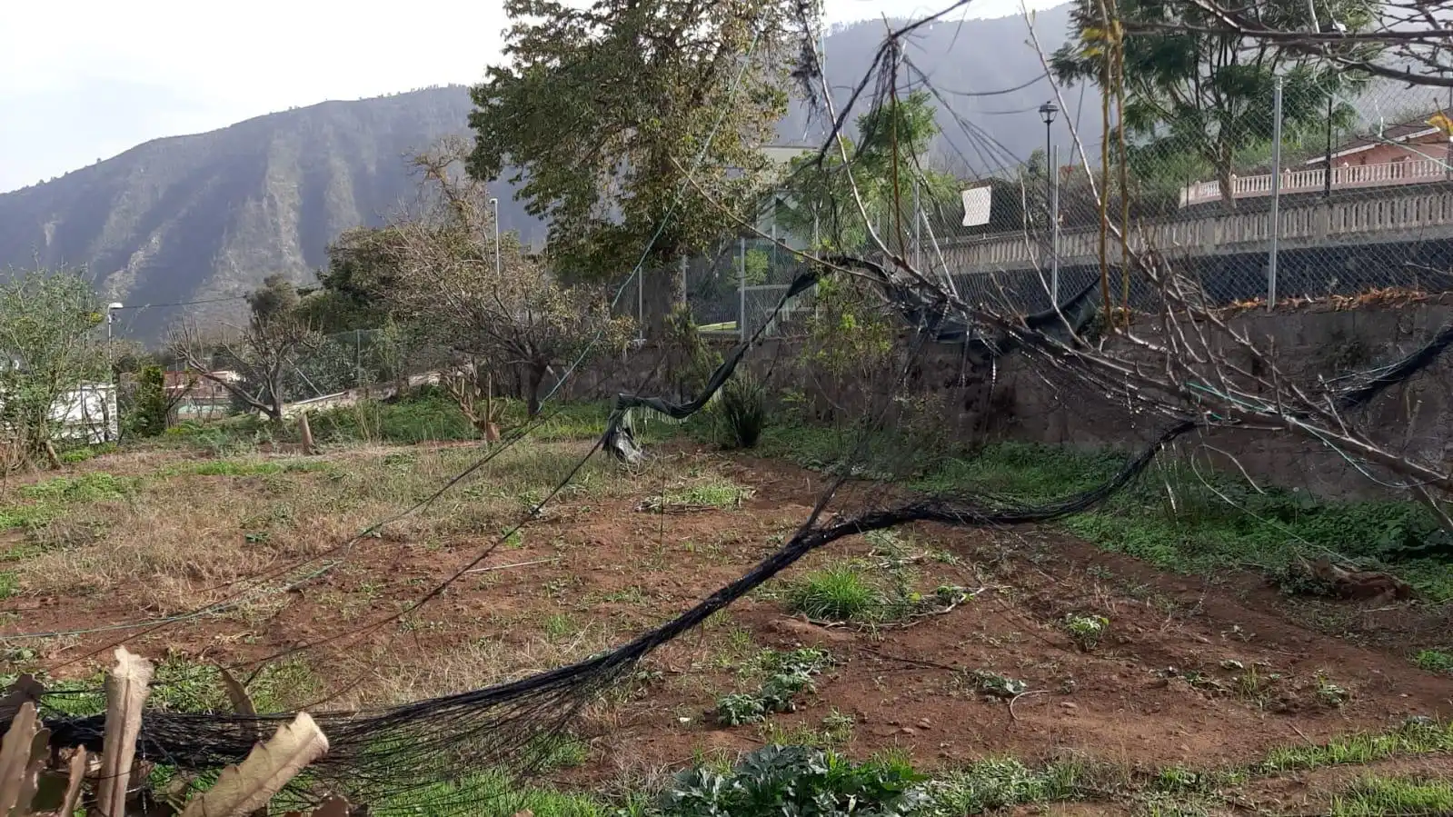 Terreno residenziale in vendita a El Bebedero - Pinolere - Aguamansa, imagen 9