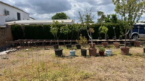 Foto 2 de Finca rústica en venda a Mollina, Málaga