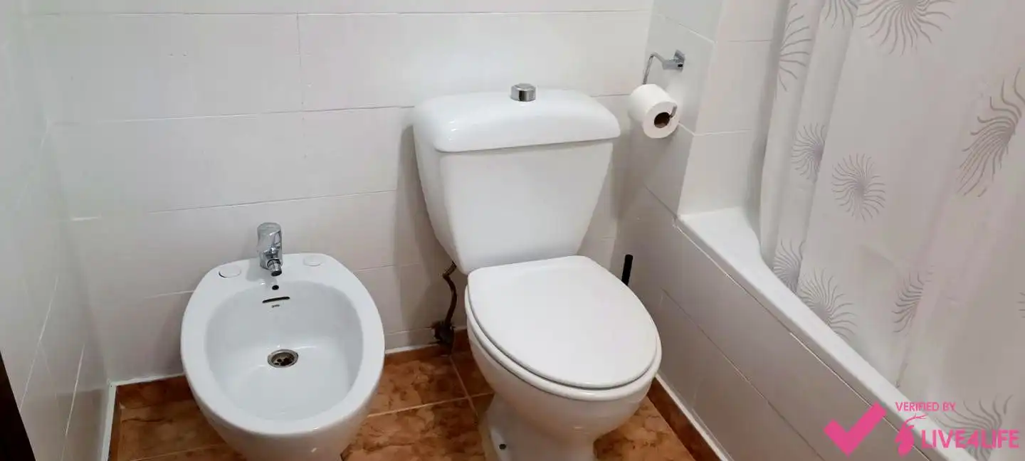 Wohnung zur Miete in calle de la Independencia, Zona Campus Universitario