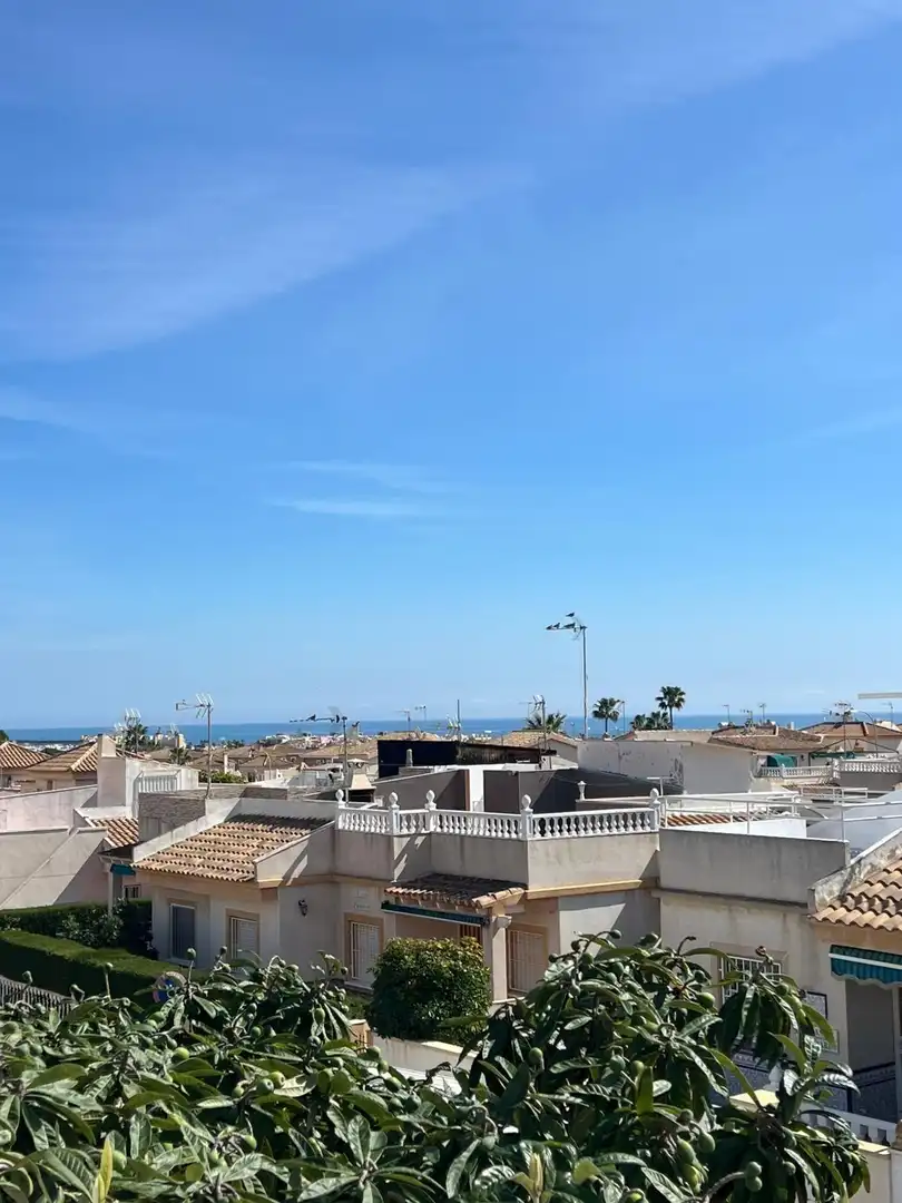 Chalet en venta en Los Balcones - Los Altos, imagen 58