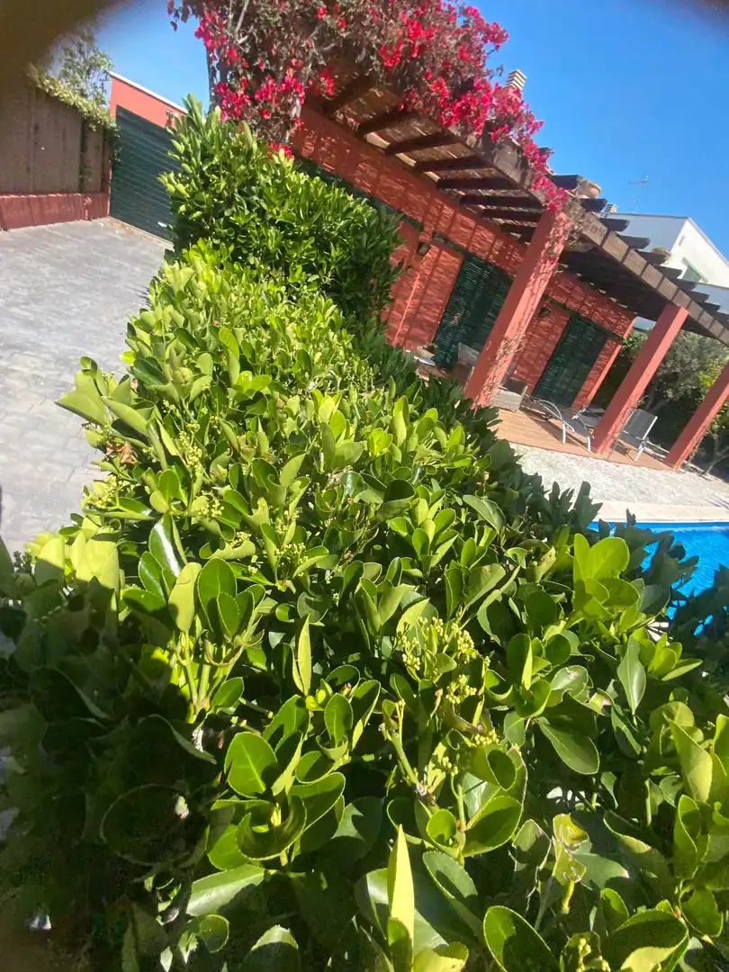 Vista exterior de Casa o chalet de alquiler en Sant Feliu de Guíxols con Aire acondicionado, Jardín privado y Terraza