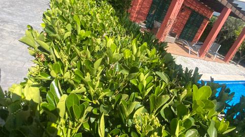 Foto 4 de Casa o xalet de lloguer a Carrer de L'armallader, Sant Pol, Sant Feliu de Guíxols