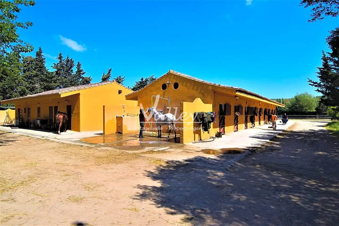 Terreni e lotti in vendita a Jimena de la Frontera, imagen 65