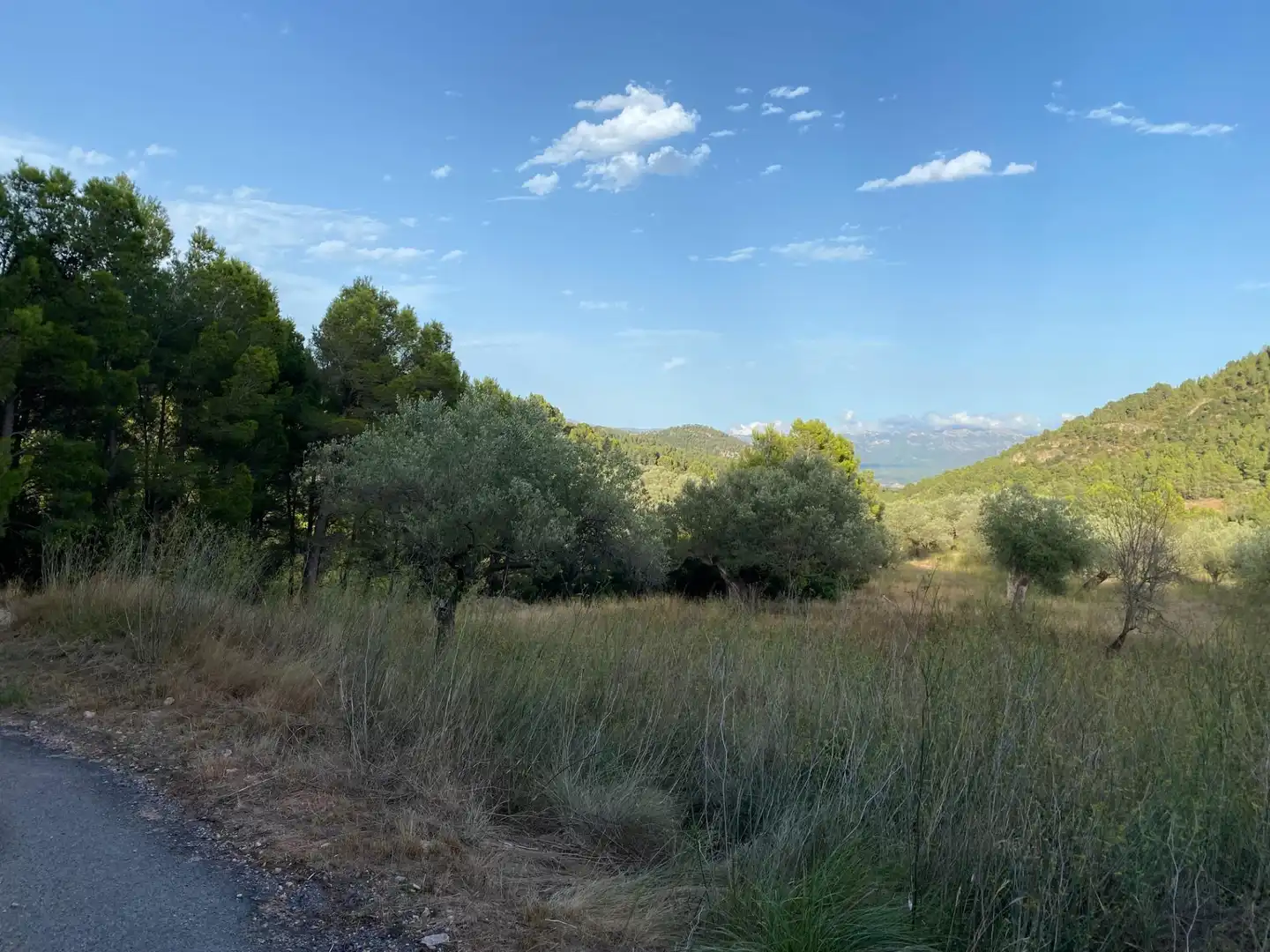 Terrain rustique à vendre à Alfara de Carles, imagen 4