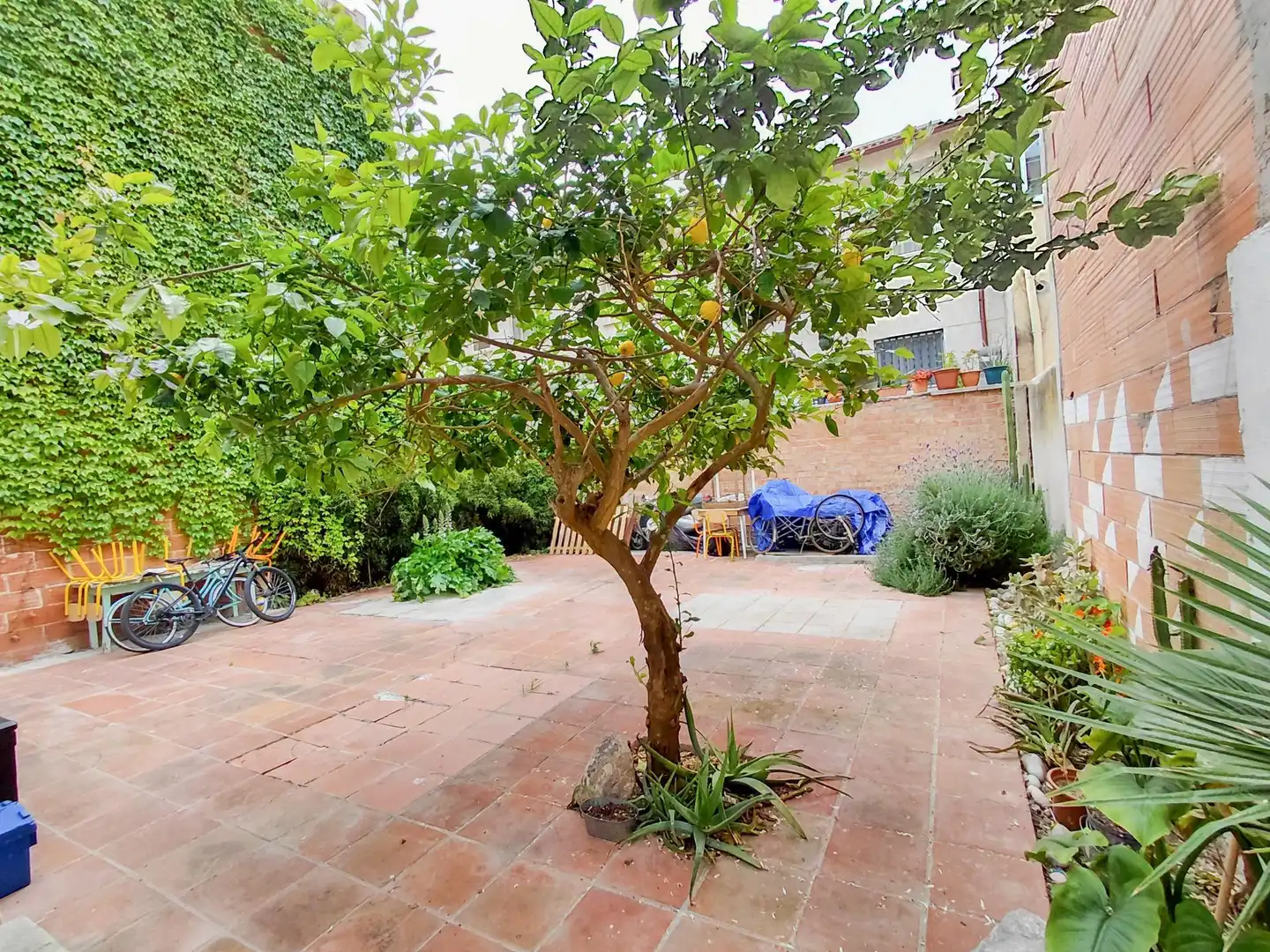 Jardí de Casa adosada en venda en Cunit amb Jardí privat, Terrassa i Balcó