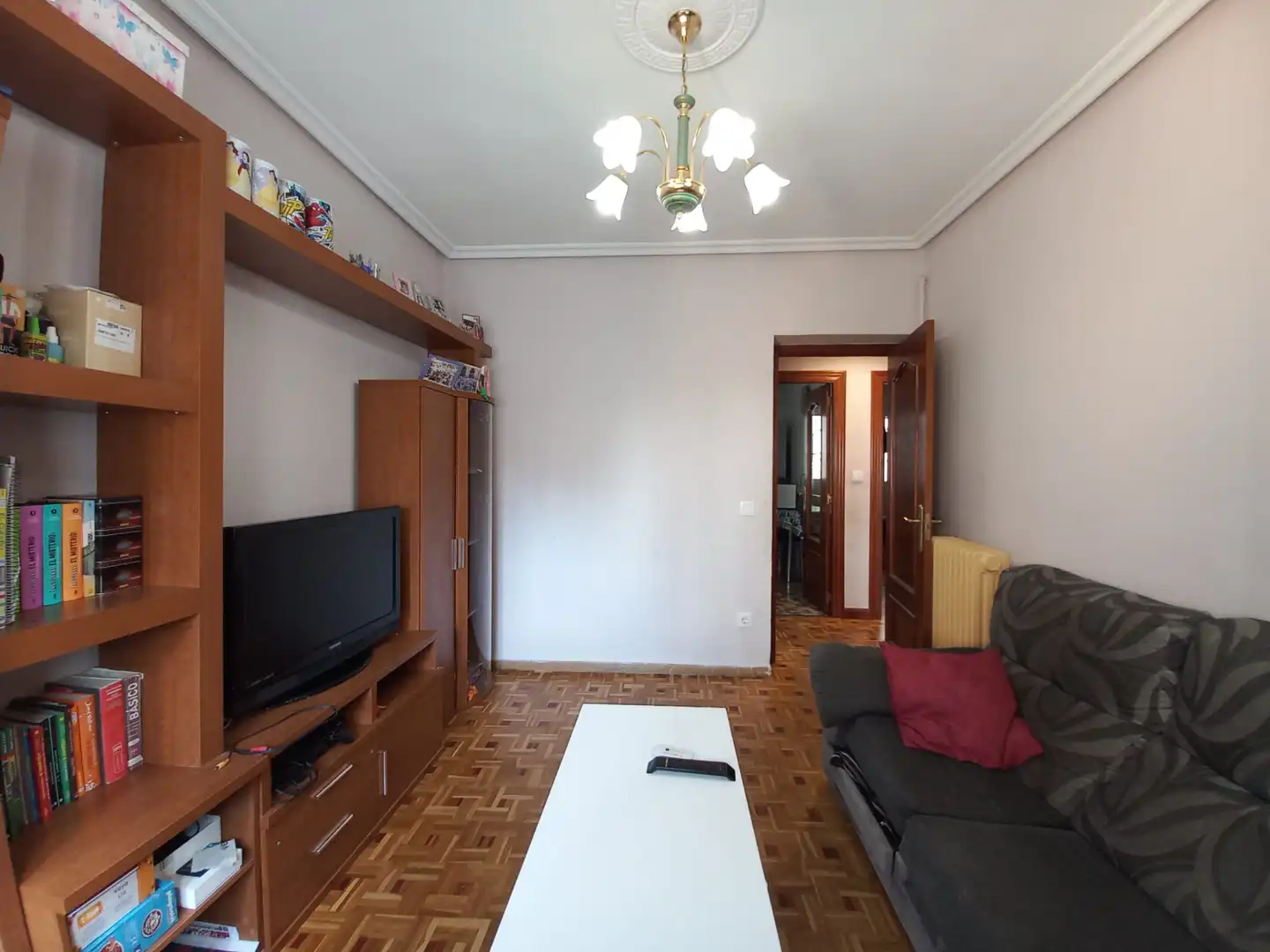 Sala d'estar de Pis en venda en Burgos amb Calefacció i Terrassa
