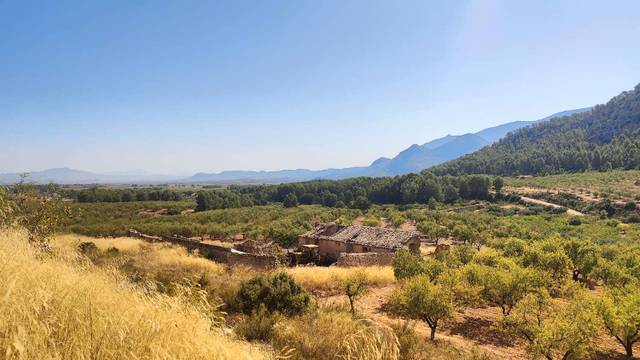 Finca rústica en Venta en Mula