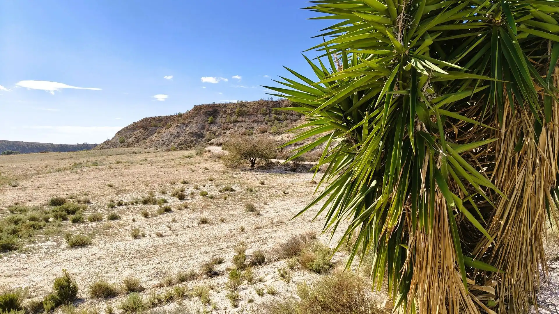 Rural land for sale in Fortuna, imagen 19