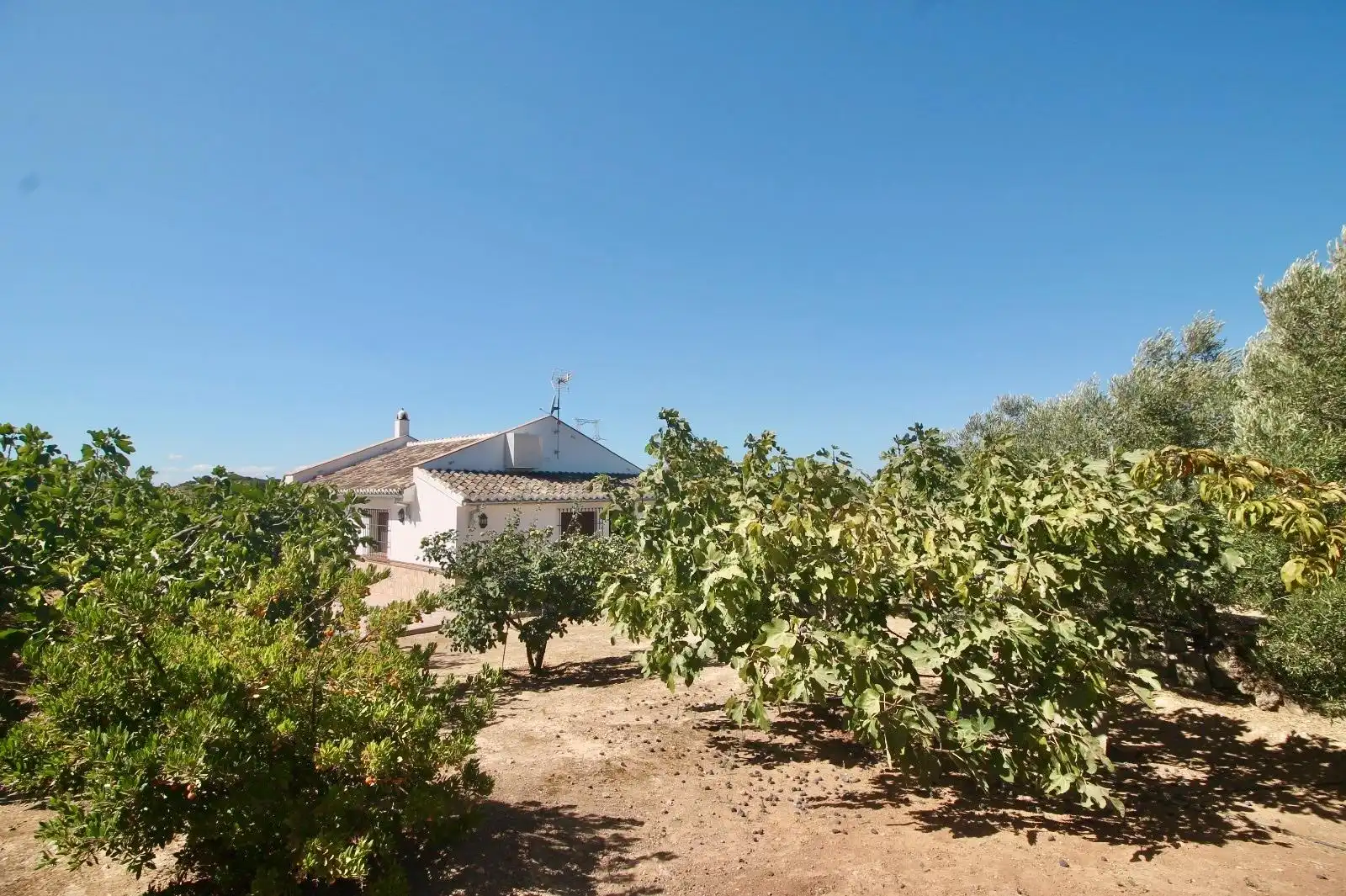 Casa rústica en venda a Bobadilla - Bobadilla Estación - La Joya, imagen 25