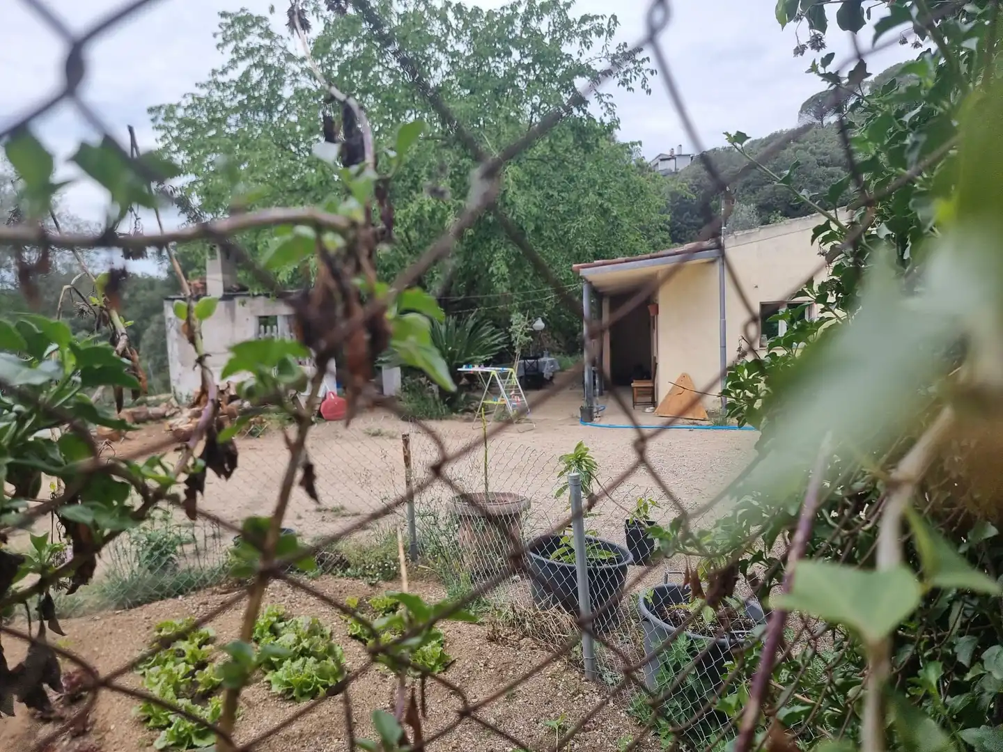 Casa con piscina en venta en Avinguda Can Massuet, imagen 13