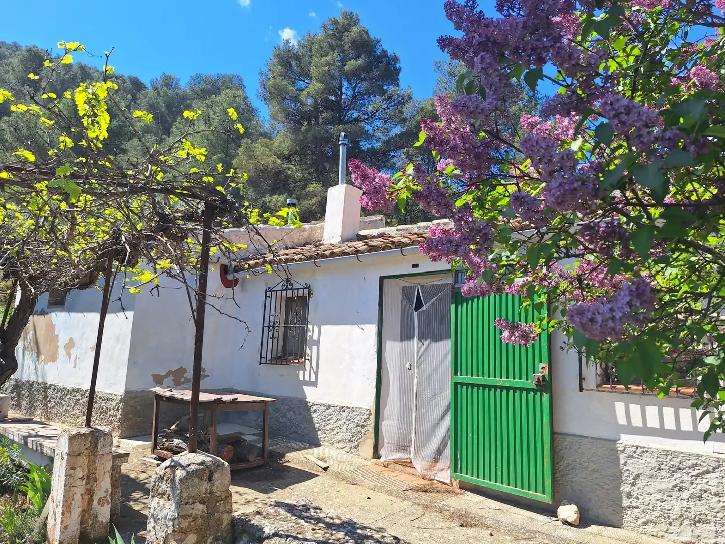 Vista exterior de Finca rústica en venda en Alcoy / Alcoi amb Traster i Moblat