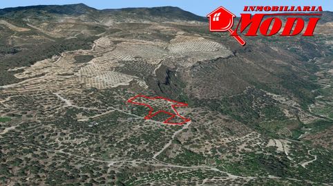 Se vende finca de regadío en Saleres   El Valle con 6.071,9 m2, con sistema de riego por goteo y distribuida en bancales. En la pr, immagine 2
