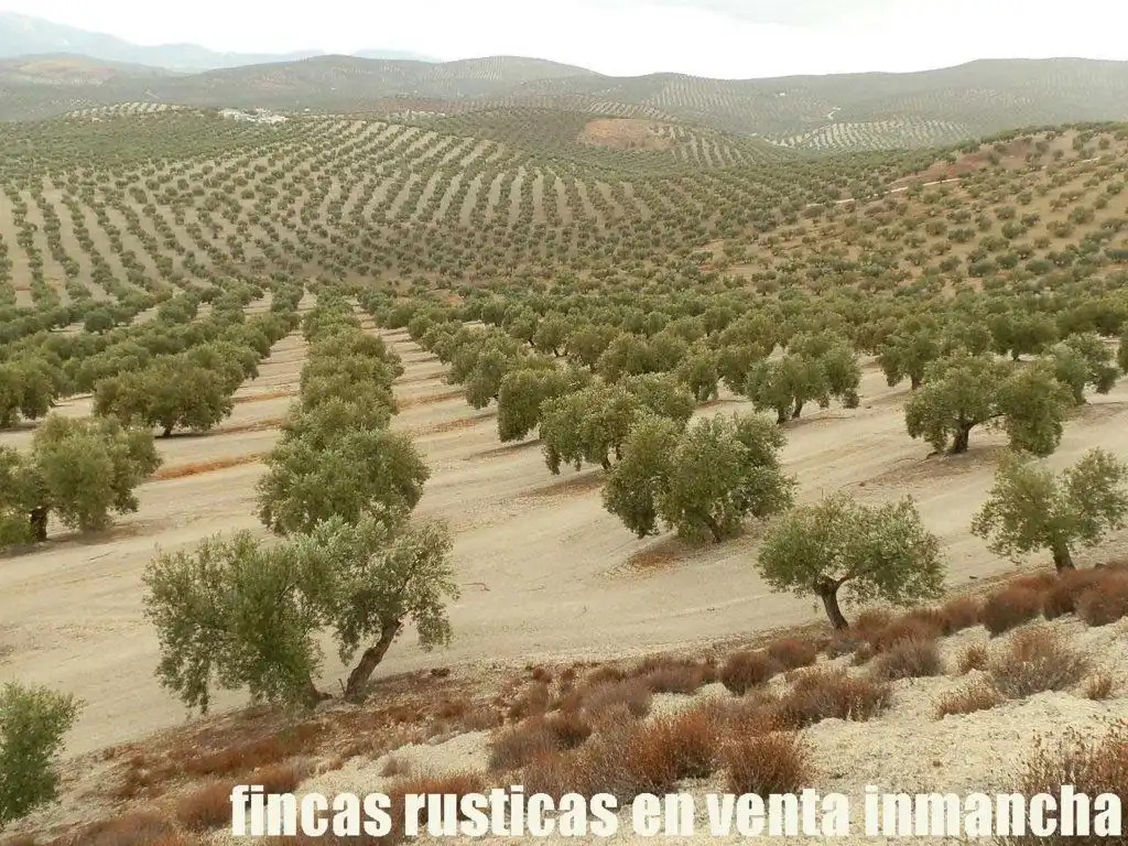 Terreni e lotti in vendita a Andújar, imagen 2