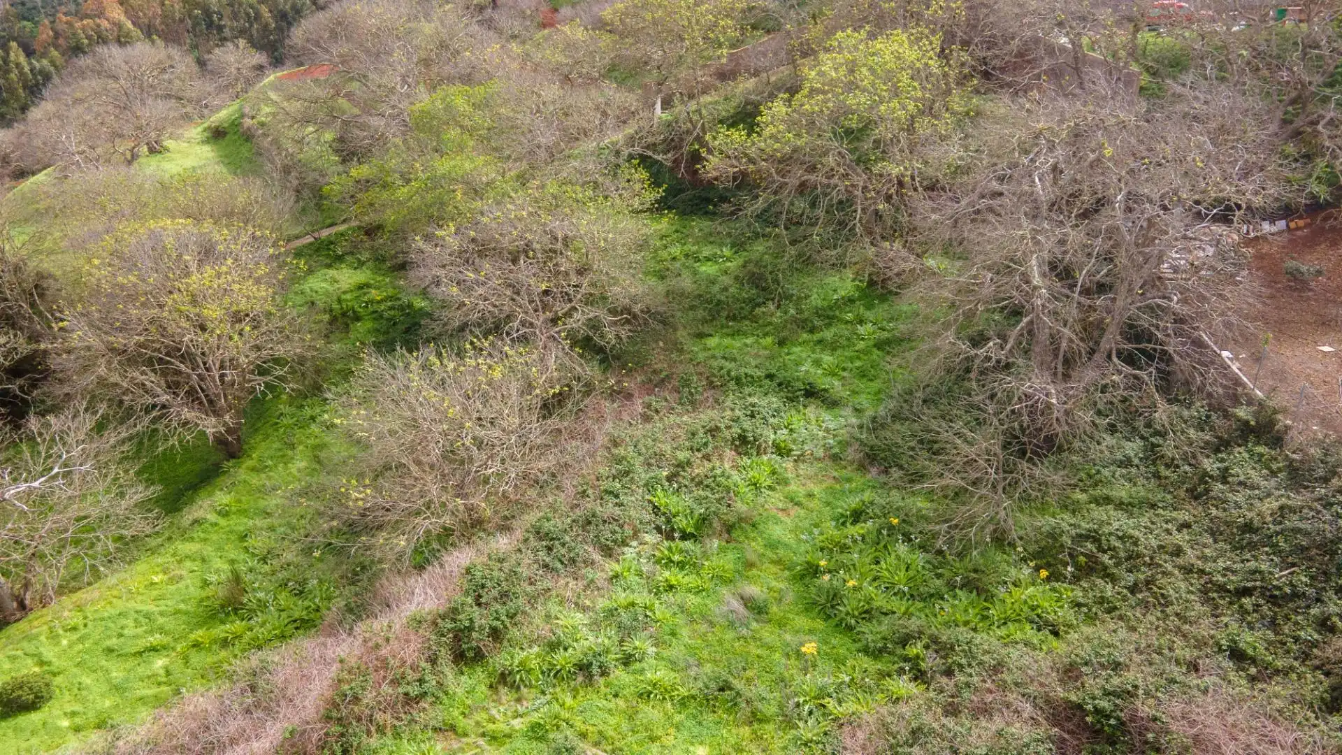 Rustikales Grundstück zum Verkauf in La Esperanza 17, imagen 27