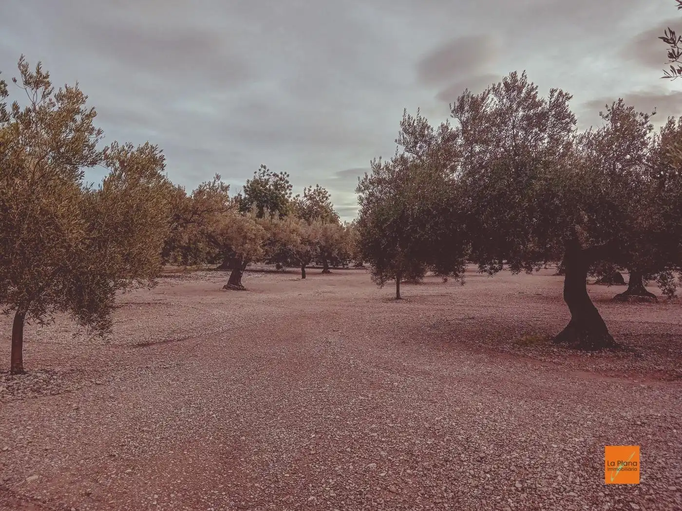 Finca rústica en venta en Santa Bàrbara
