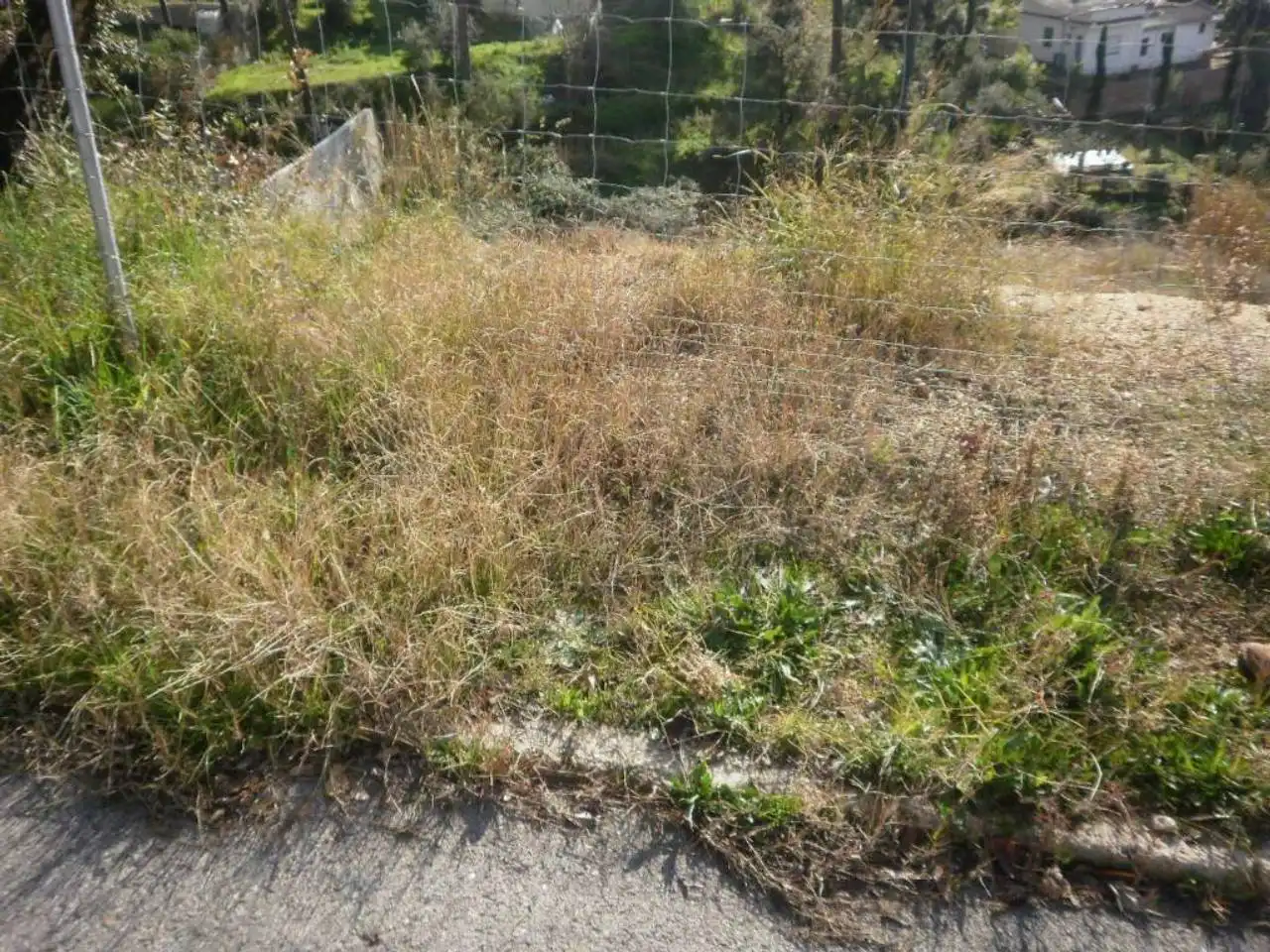 Terreno rustico in vendita a Mas Altaba - El Molí, imagen 4