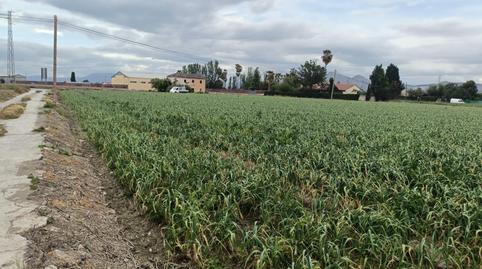 Photo 2 of Land for sale in  Polígono 8 Parcela 1 P Bajo. Vegas del Genil (gra, Purchil, Granada