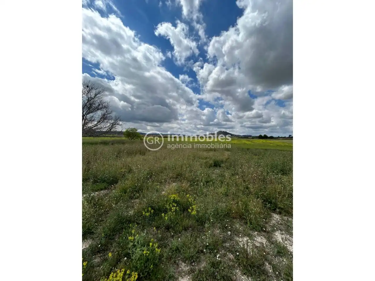 Terreno rustico in vendita a Sineu, imagen 7