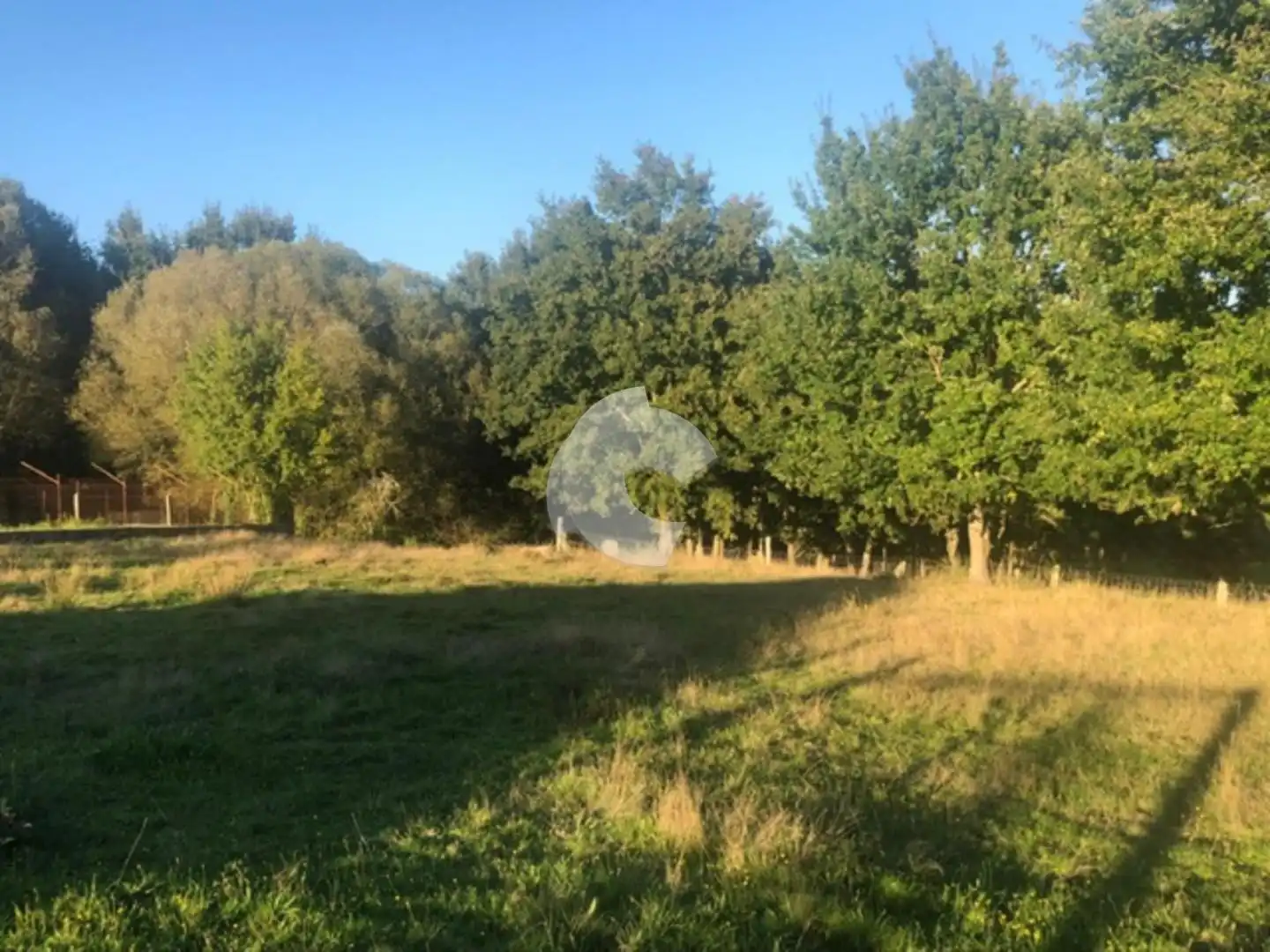 Terreni e lotti in vendita a Nogueira de Ramuín, imagen 12